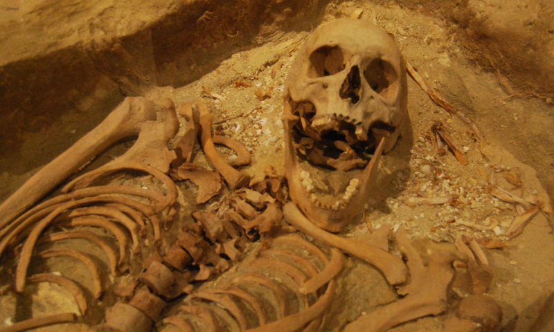 Esqueleto de una de las víctimas del naufragio del Batavia encontrado en unas excavaciones de 1963. Wikimedia Commons